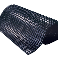 Čepasta folija D-drain H8 light 1.5x20m