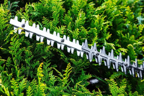 Graphite -Motorna testera za živu ogradu 750W